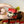 Load image into Gallery viewer, Red Velvet Oreo (Cream Cheese)