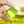 Load image into Gallery viewer, Pandan Cheese Milk