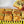 Load image into Gallery viewer, Martabak Chicken